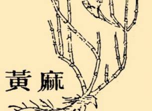 本草纲目历史图片