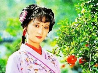 红楼梦历史图片