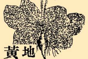 本草纲目历史图片