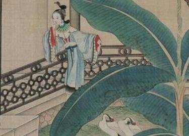 红楼梦历史图片