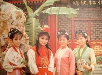 红楼梦历史图片