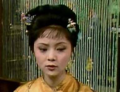 袭人历史图片