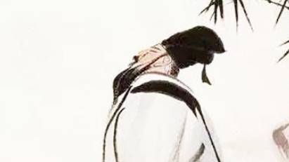 苏轼历史图片