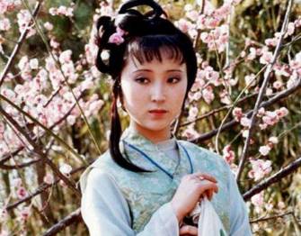 红楼梦历史图片