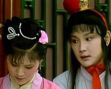 袭人历史图片