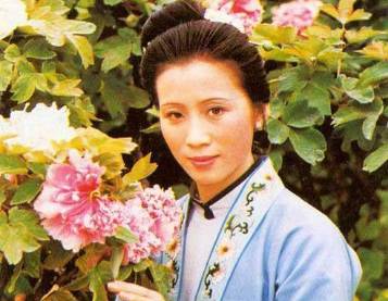 红楼梦历史图片