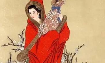 双凤奇缘历史图片