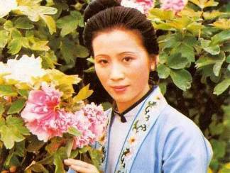 红楼梦历史图片
