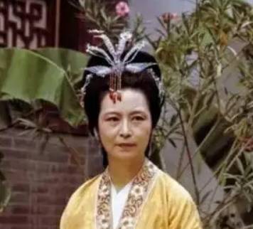 王夫人历史图片