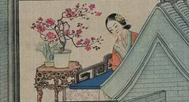 红楼梦历史图片