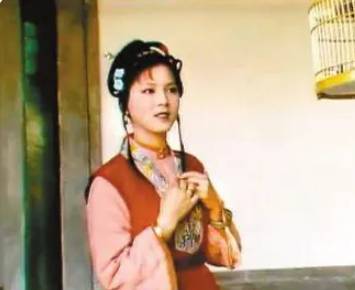 袭人历史图片