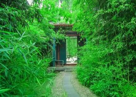 红楼梦历史图片