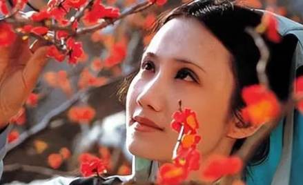 红楼梦历史图片