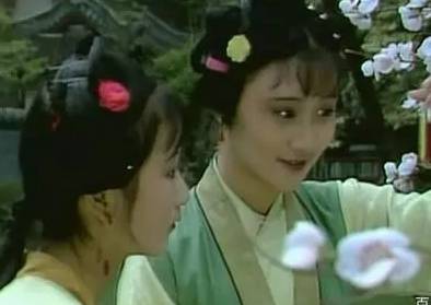 红楼梦历史图片