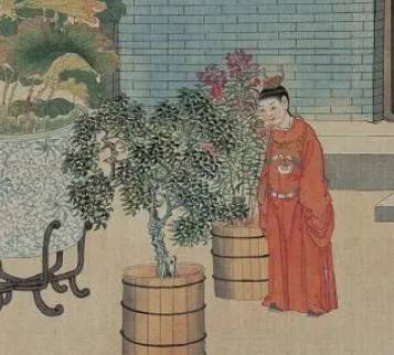 多姑娘历史图片