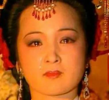 王夫人历史图片