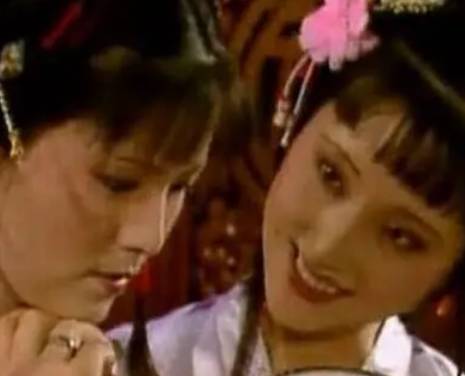 袭人历史图片