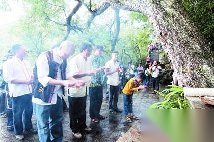 拜树节历史图片