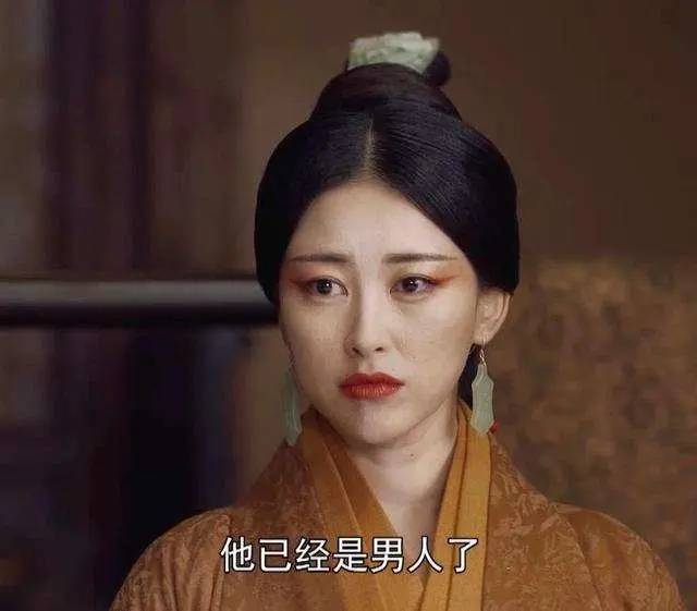 嬴政生母赵姬历史图片