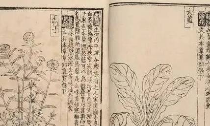 朱元璋历史图片