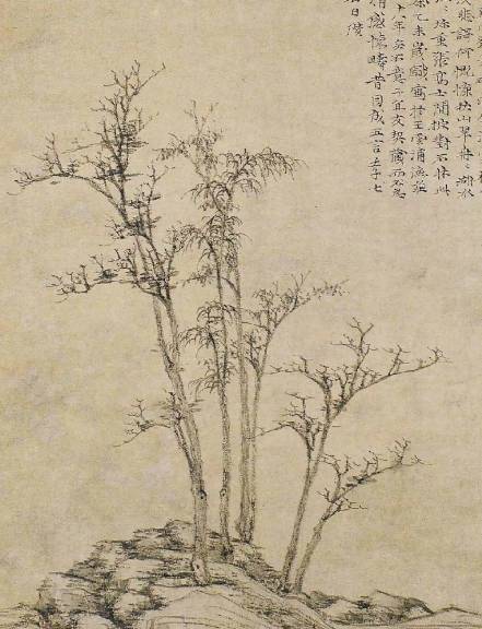 倪瓒历史图片