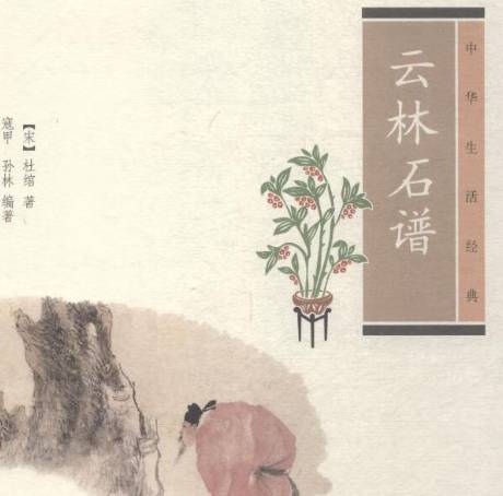 杜绾历史图片