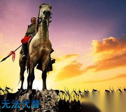 杨再兴历史图片