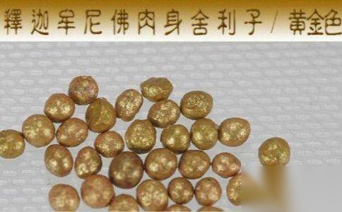 释迦牟尼历史图片