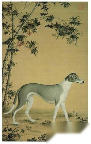 雍正历史图片