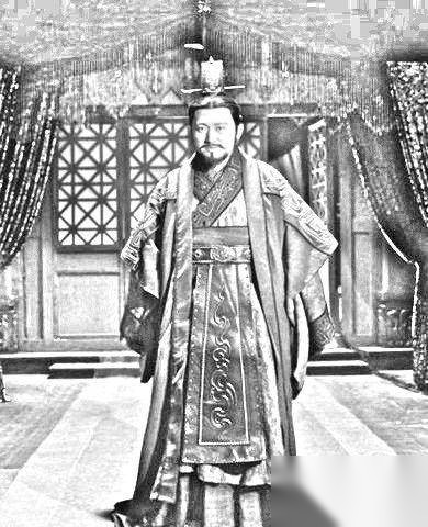 魏冉的生平介绍历史图片
