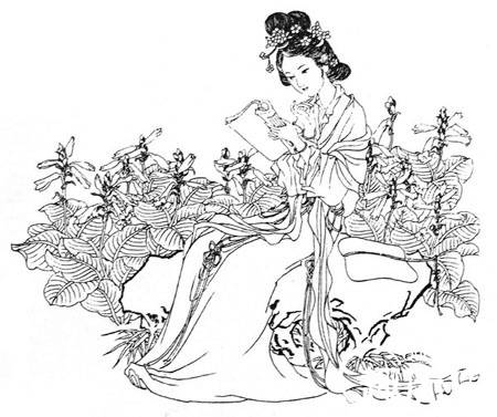 西施历史图片