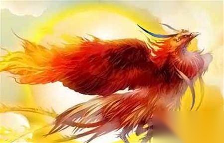 太阳鸟历史图片