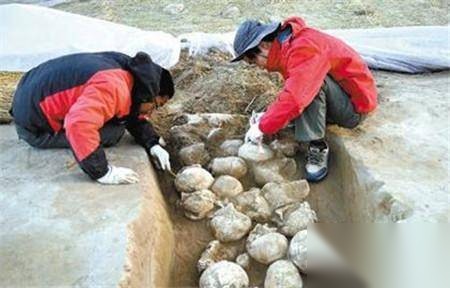 遗址历史图片