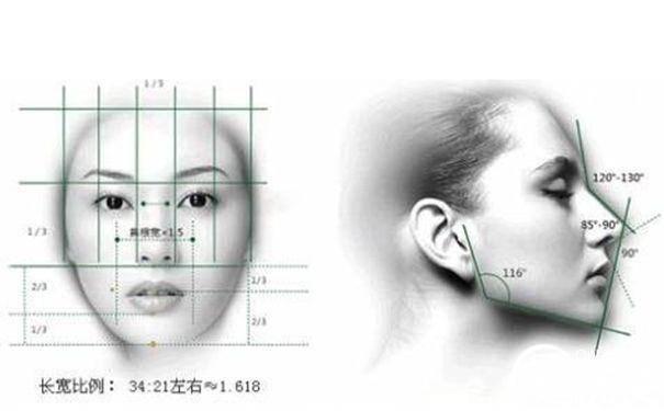 鼻子样子由这几个基因决定历史图片