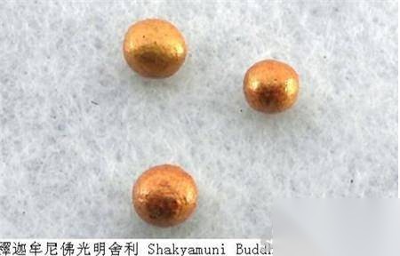 舍利子历史图片