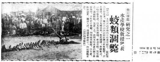 神秘事件历史图片