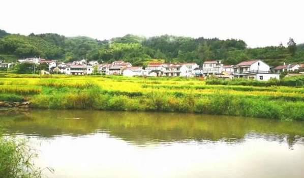 清朝历史图片
