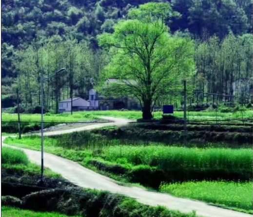清朝历史图片