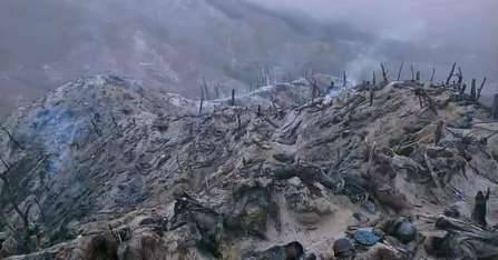 施劳弗高地战役历史图片