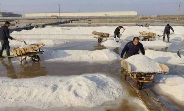 纪晓岚历史图片