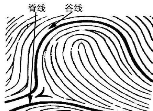 古代的人为何都喜欢签字画押按指纹？难道当时已经有指纹识别技术了吗？历史图片