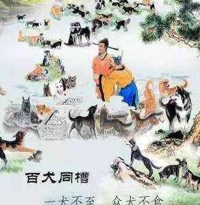 中国第一家族历史图片