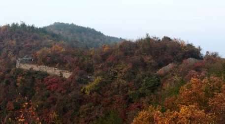 茅麓山战役历史图片