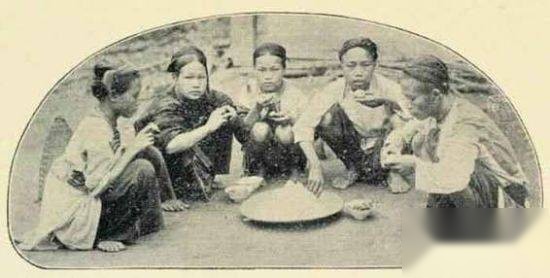 番薯历史图片