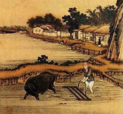 牛肉历史图片