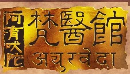 斯坦因历史图片