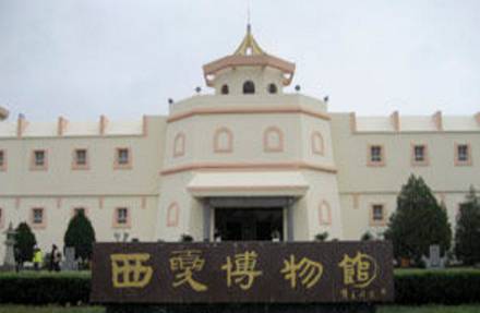 西夏历史图片