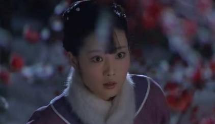甄嬛传历史图片