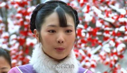 甄嬛传历史图片