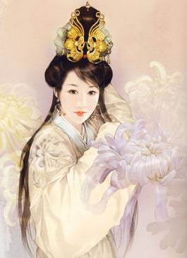 西夏历史图片